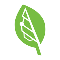 Bigleaf Networks logo