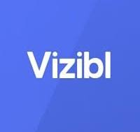 Vizibl logo