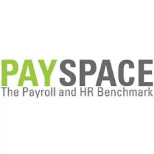 PaySpace logo