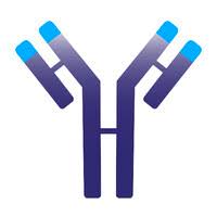 Immunovant logo