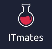 IT Mates logo