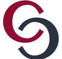 Chazin & Company logo
