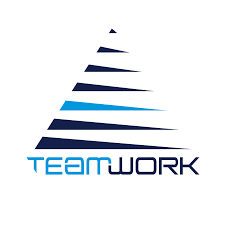 TeamWork.net logo